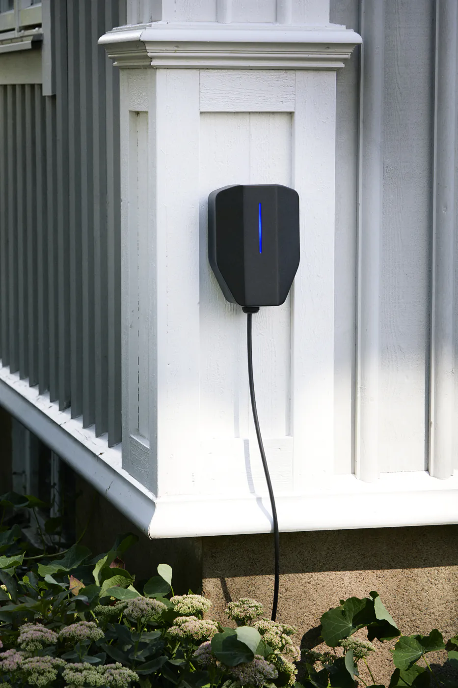 Garo Entity - obrazek 9