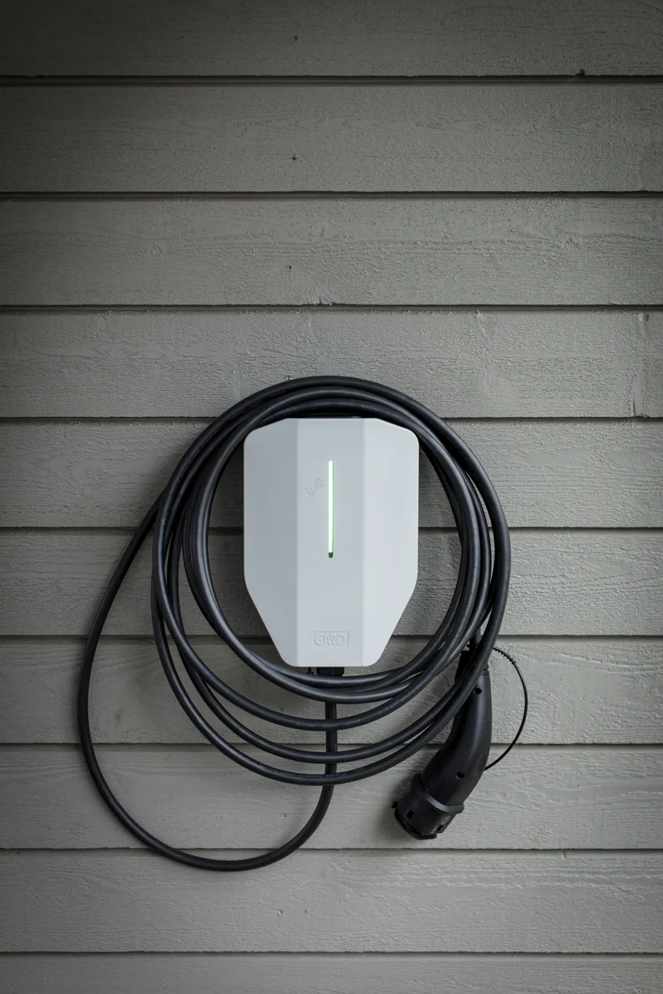 Garo Entity - obrazek 2