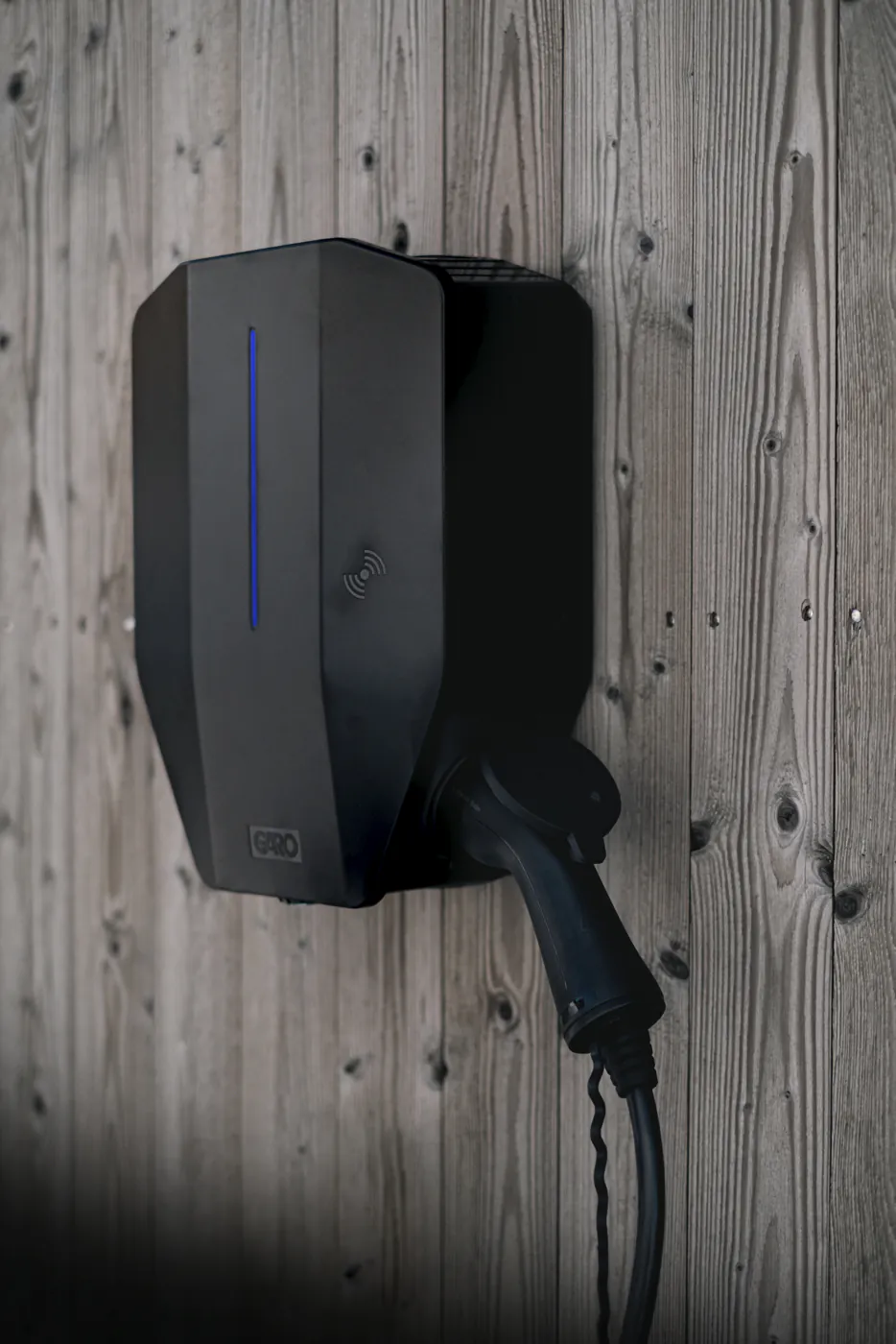 Garo Entity - obrazek 5