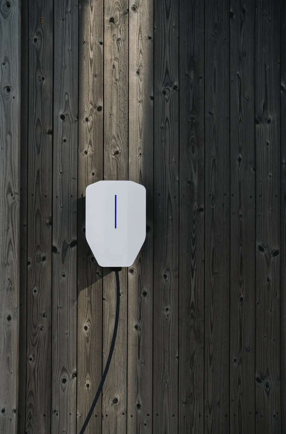 Garo Entity - obrazek 6