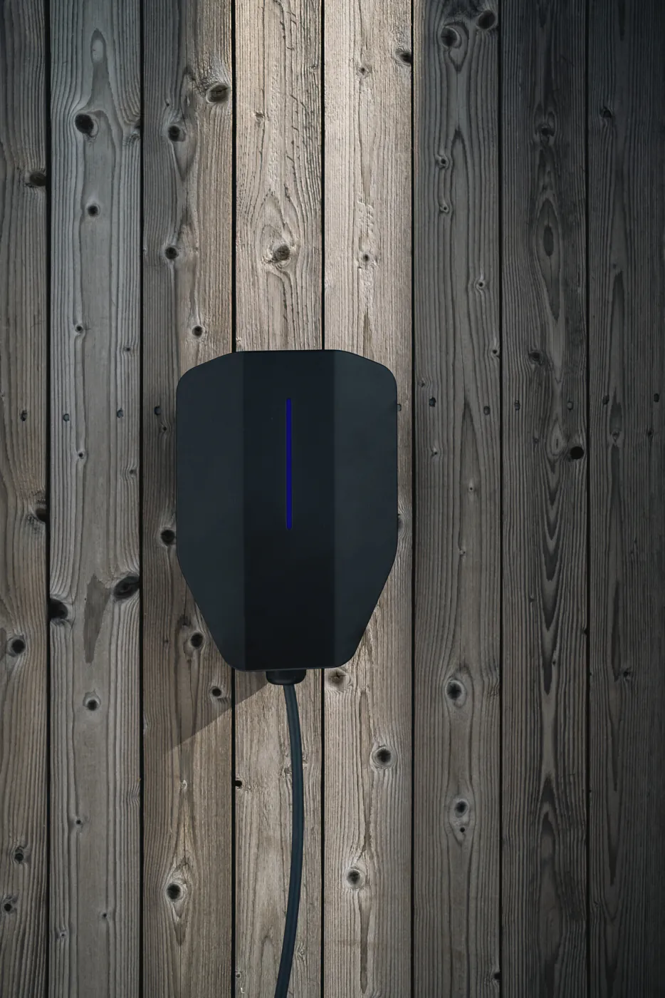 Garo Entity - obrazek 7