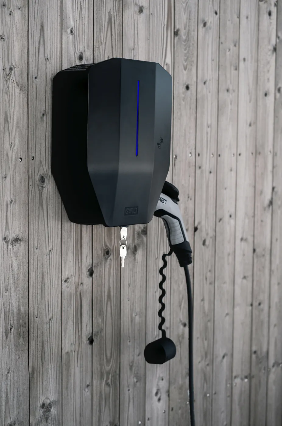 Garo Entity - obrazek 8